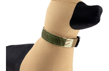 Image of Raptor Tactical K9 ODIN Collar, Rhodesian, One Size, K9OC-RH-45
