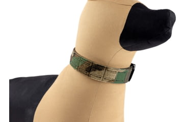 Image of Raptor Tactical K9 Odin Collar, Woodland, K9OC-M81-45D