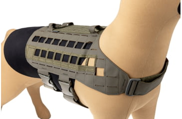 Image of Raptor Tactical K9 Zephyr MK1 Dog Harness, Ranger Green, One Size, K9ZDH1-RG