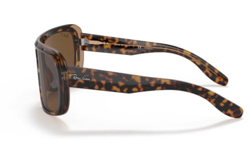 Image of Ray-Ban Blair RB2196 Sunglasses, Polarized Brown Lenses, Havana On Transparent Brown, 61, RB2196-129257-61