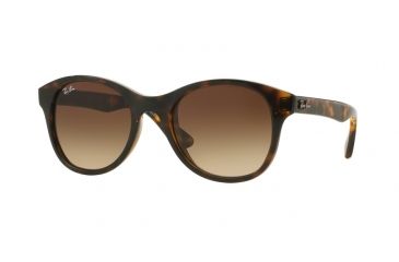 Image of Ray-Ban RB4203 Single Vision Prescription Sunglasses RB4203-710-13-51 - Lens Diameter 51 mm, Frame Color Shiny Havana