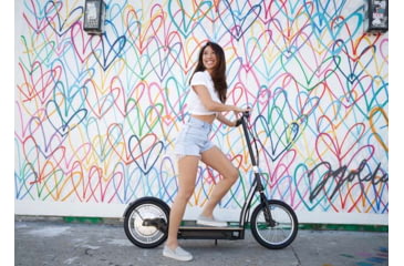 Image of Razor EcoSmart SUP Electric Scooter - Black, 13114510