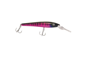 Image of Reef Runner Jr Reef Stalker, Purple Tiger, 900JR-501