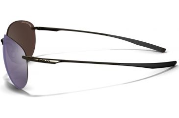 Image of Revo Rise Sunglasses RE9013-03 Side