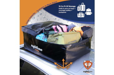 Image of Rightline Gear Sport Jr Car Top Carrier, Black, 100S50