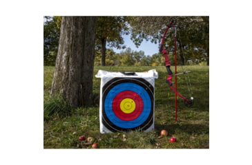 Image of Rinehart NASP Homework Target, 1006938