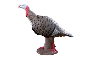 Image of Rinehart Tom Turkey Target, Brown 41511
