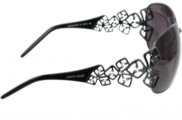 Image of Roberto Cavalli Acheronte Sun Glasses RC316S-731 side