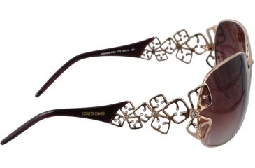 Image of Roberto Cavalli Acheronte Sun Glasses RC316S-772 side