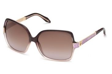 Image of Roberto Cavalli RC648S Sunglasses - Violet Frame Color