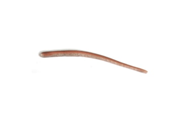 Image of Roboworm Straight Tail Worm, 0.5in, 10 Pack, Bitchin Craw, ST-MJ9Y