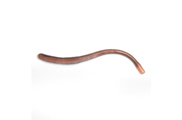 Image of Roboworm Straight Tail Worms