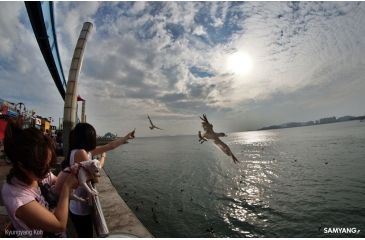 Image of Rokinon 8mm F3.5 Fisheye Camera Lens for Olympus 4/3 Mount, Black FE8M-O