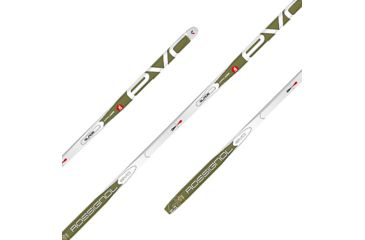 Image of Rossignol Evo Glade AR Skis - 176