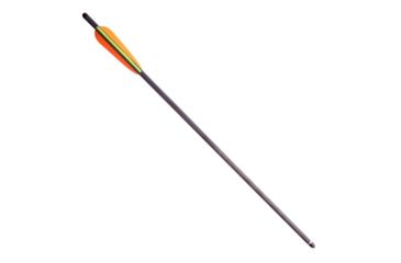 Image of SA Sports Outdoor Gear 20 Inch Carbon Bolts, 6 Pack 6305778