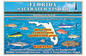 Image of Saltwater Fish ID Florida Saltwater Fish ID Book, 15th Edition, 9781734548037