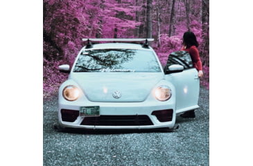 Image of SeaSucker Monkey Bars, Black, One Size, 810046210192