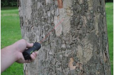 Image of Seattle Sports Survivolts Laser  FOB, Black 66994