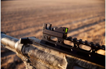 Image of EDEMO SeeAll Open Sights Micro SeeAll Open Sight, Delta, Black, 850006380565, EDEMO1