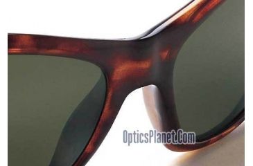 Image of Tortoise Frame