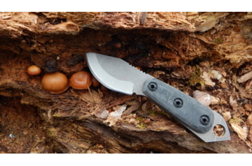 Image of Shed Knives 2023 Skur Fixed Blade Blk Mic