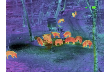 Image of Shinenyx G1A/384 1x5.45-16.5mm Thermal Imaging Monocular with Mount, Black, G1A+Mount