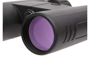 Image of SIG SAUER Buckmaster 10x42mm Roof Prism Binoculars, Black, SOBM10421