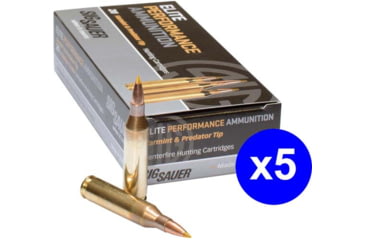 Image of SIG SAUER SIG Hunting Rifle Ammo .308 Winchester 165 grain Controlled Expansion Tip Brass Cased Centerfire Rifle Ammo