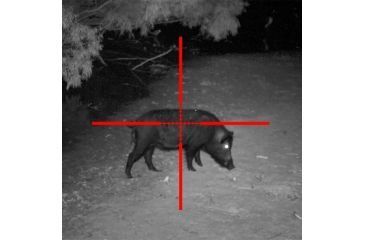 Image of Sightmark Illuminated Photon XT Reticle