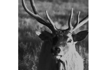 Image of SightMark Signal 320RT Digital Night Vision Monocular, Black, SM18024