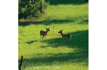 Image of SightMark Wraith 4K Mini Digital Night Vision Rifle Scope, 2-16x32mm, Dual Focal Plane, Multiple Reticles, Black, SM18041