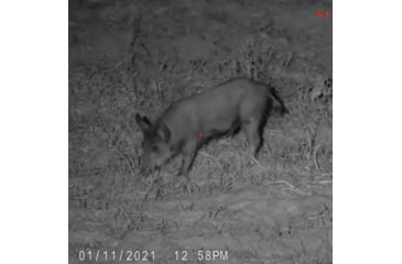 Image of SightMark Wraith 4K Mini Digital Night Vision Rifle Scope, 2-16x32mm, Dual Focal Plane, Multiple Reticles, Black, SM18041