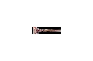 Image of Calligraphy Collections Lifescape 448 SESC 044800 Eyeglass Frames - Pastel Blush SESC 0448005030 RO