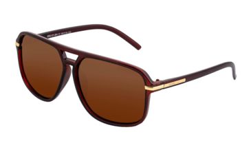 Image of Simplify Reed Polarized Sunglasses - Unisex, Brown/Brown, One Size, SSU121-BN