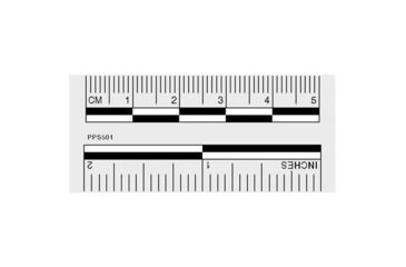 Image of Sirchie - Photo Evidence Scales Removable Adhesive back, 2" 50ea.