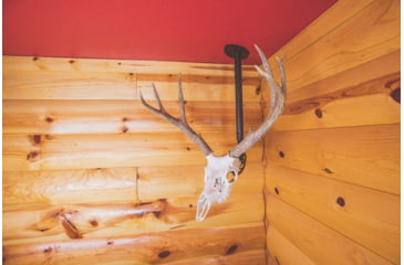 Image of Skull Hooker Ceiling Hooker, Brown, SKH-CH-BRN