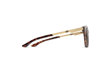 Image of Smith Roam Sunglasses, Tortoise Frame, ChromaPop Polarized Brown Lens, 20126408653L5