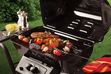 Image of Smiths Fire Wire 2-Pack Flexible Grilling Skewers SP-50454
