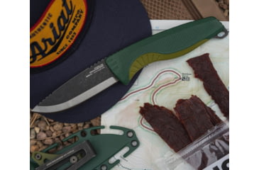 Image of SOG Specialty Knives &amp; Tools Aegis FX Fixed Blade Knives, 3.7in, Straight Edge, CRYO KRUPP 4116 Steel, Drop Point, Green, GRN / TPU Handle, Black, SOG-17-41-02-41