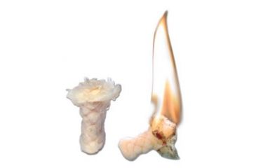 Image of Survive Outdoors Longer Fire Lite Sparker &amp; Tinder Module 0140-1001
