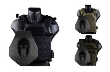 Image of Spartan Armor Systems Armor/Sentry Plate Carrier and AR500 Omega Body Armor Platform, Black, Coyote Brown, OD Green