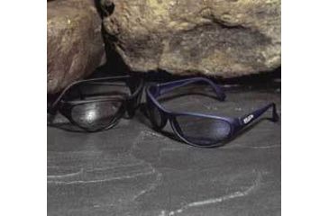 Image of Sperian Personal Protective Equipment Prevail BLUE/CLEAR 11150301