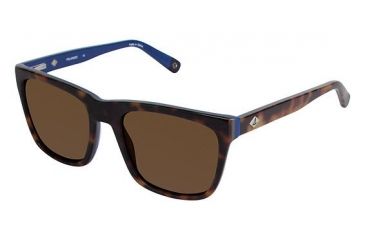 Image of Sperry Top-Sider Fishers Island Progressive Prescription Sunglasses SPFISHERSISLAND02 - Frame Color Tortoise Navy