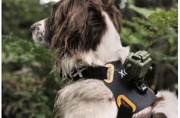Image of Spy Point Xcel Action Camera Dog Mount, Black XHD-DOG