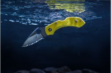 Image of Open Box, Dealer Demo, Spyderco Salt Dragonfly2 Folding Knife, 2.25in, H-2 Steel, Serrated Blade, Leaf Blade, FRN Yellow Handle, C28SYL2-DMO