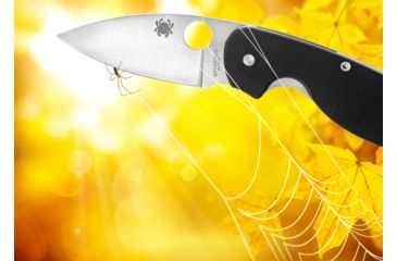 Image of Spyderco Efficient Folding Knife, 3in, 8Cr13MoV, Leaf Blade, Fiberglass-Reinforced Nylon, Black Handle, C216GP