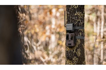 Image of Spypoint CELL-LINK Trail Camera, Nationwide Cell Service, Grey, CELL-LINK