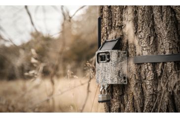 Image of Spypoint SB-300S Trail Camera Security Box, LINK-MICRO, 16 Gauge Steel, Camo, SB-300S