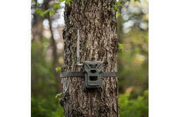 Image of Spypoint Flex-M Twin Pack Cellular Camera Twin Pack Multi Carrier, Green, 1840