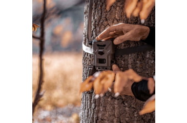 Image of Spypoint FLEX-M Cellular Trail Camera - Twin Pack F4BA2688